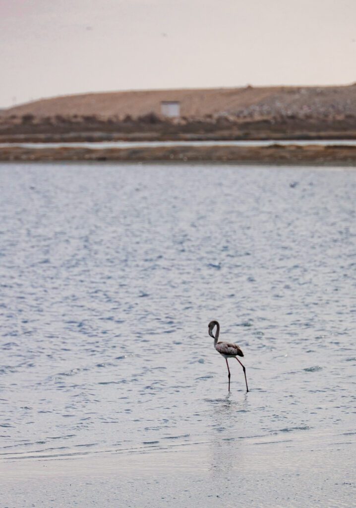 Monastir Tunisia