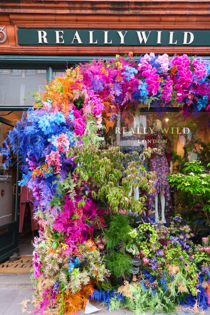 Chelsea in bloom