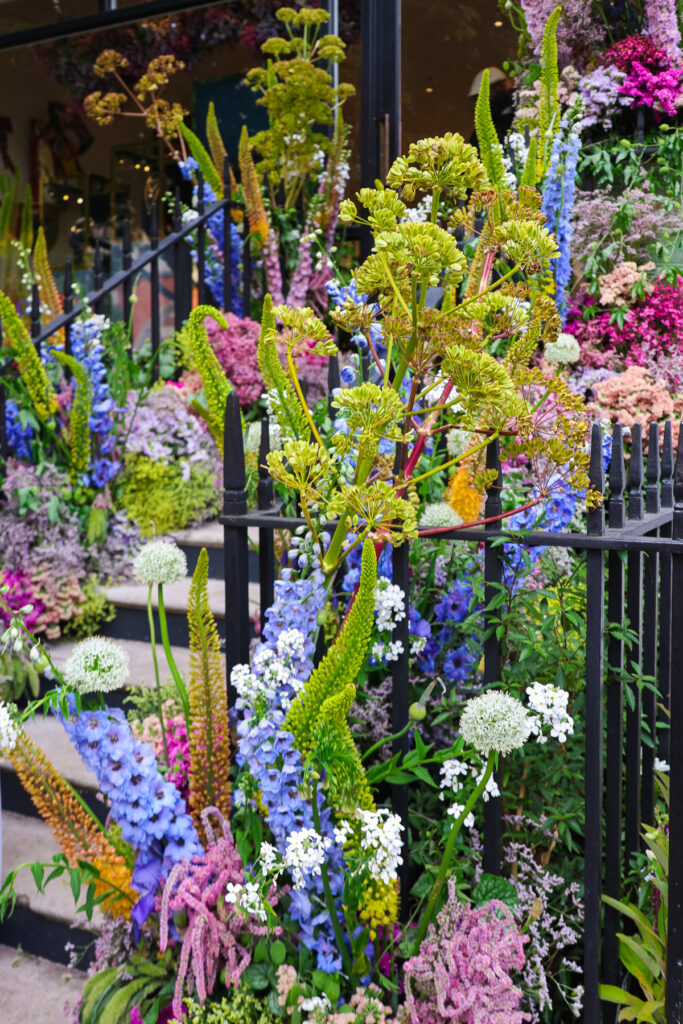 Chelsea in bloom
