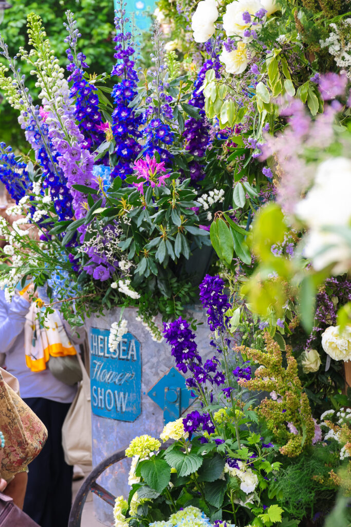 Chelsea in bloom