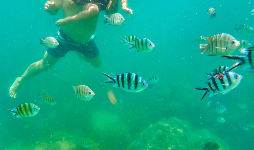 Ang Thong Koh Samui